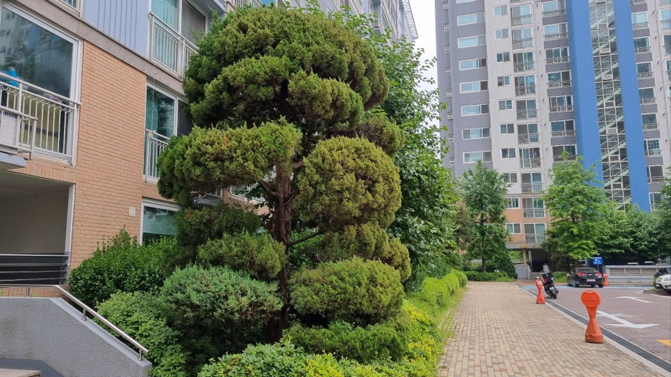 지산아이앤씨주 이미지