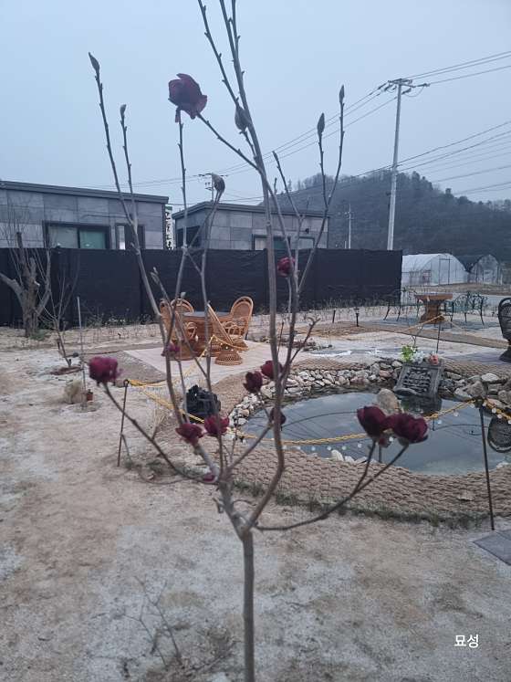 그대별처럼 이미지