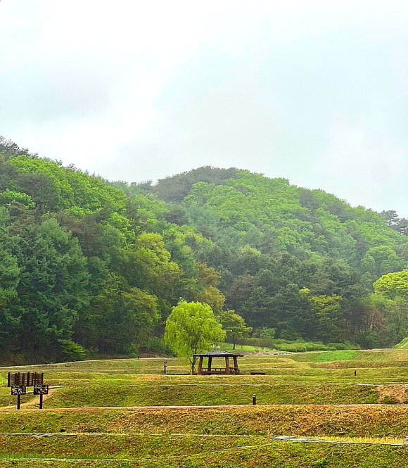 소유필름청주 이미지