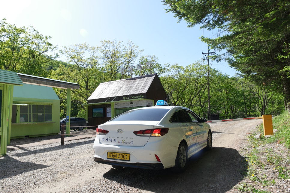 삼양여행사 이미지