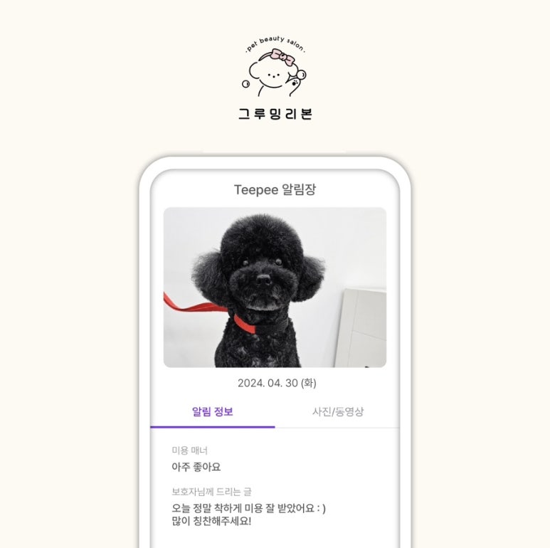 티피 시스템 이미지