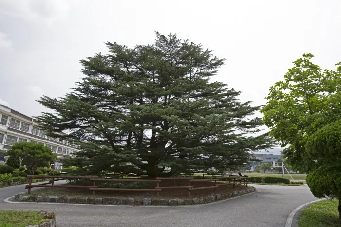 영동산업계기 이미지