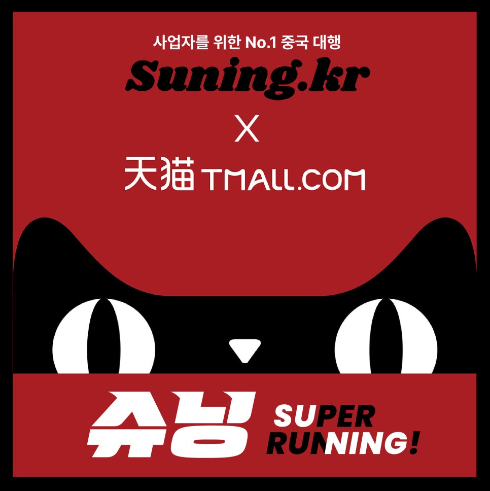 슈닝 이미지