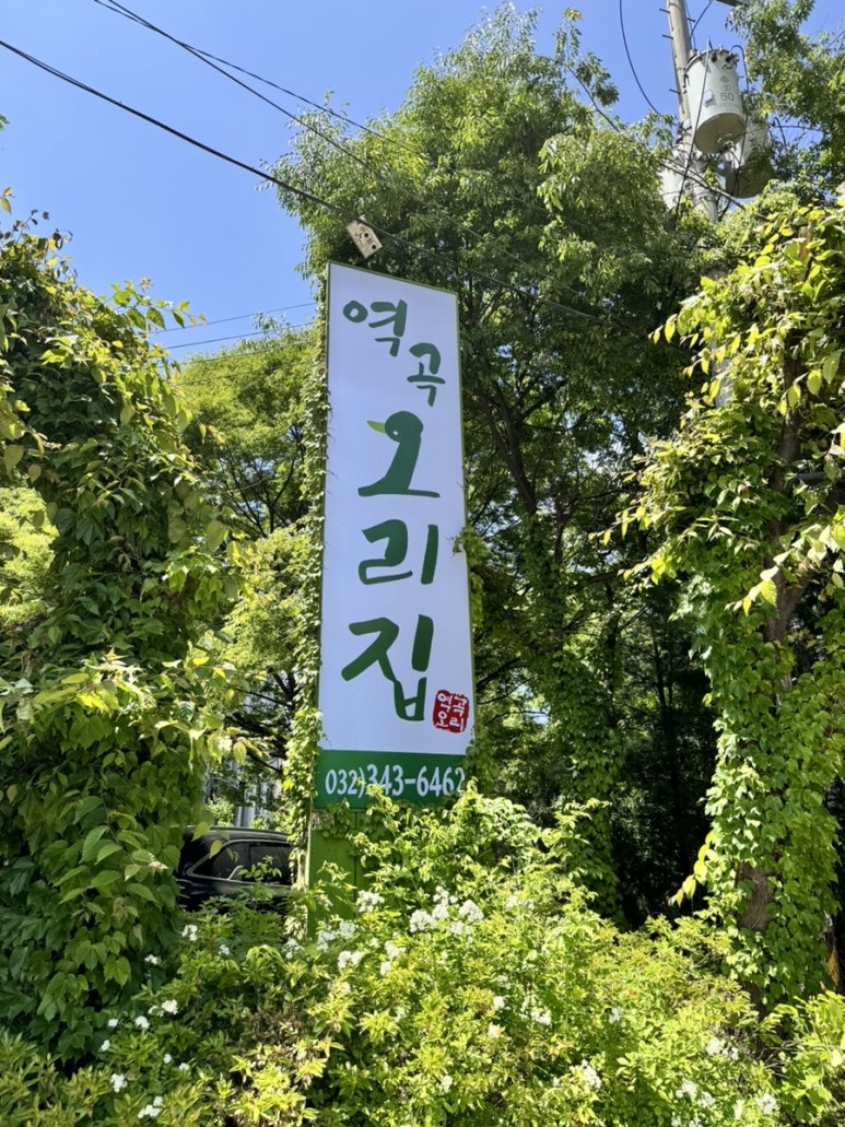역곡오리집 이미지