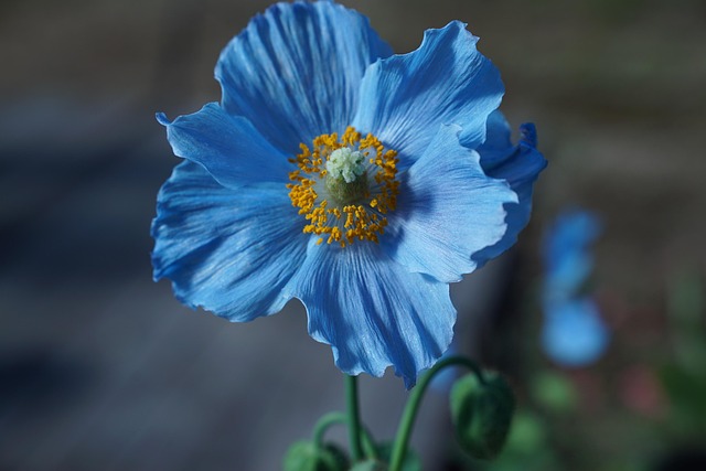 바르다김선생인천 이미지