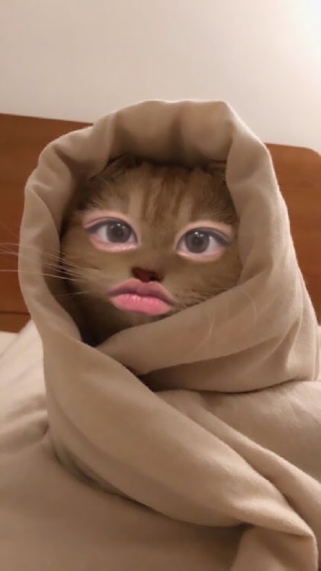 우주하나 이미지