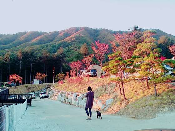 해자연캠핑장 이미지