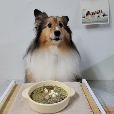 까다롭개 이미지