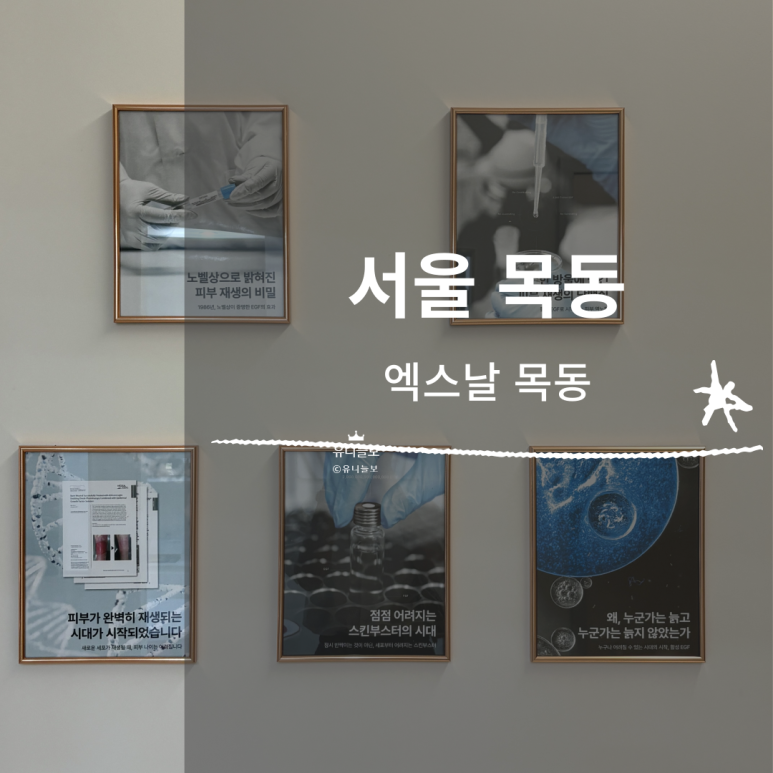 엑스날 목동 이미지