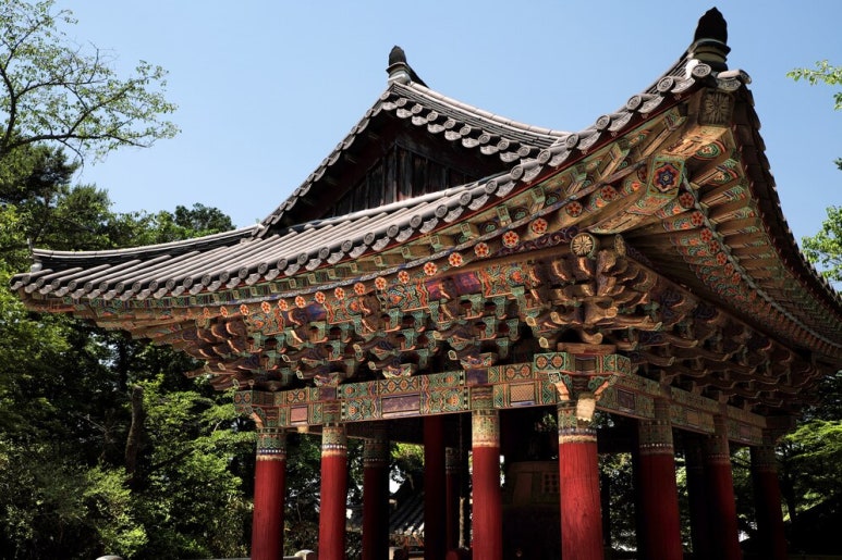 세상의모든구제 이미지