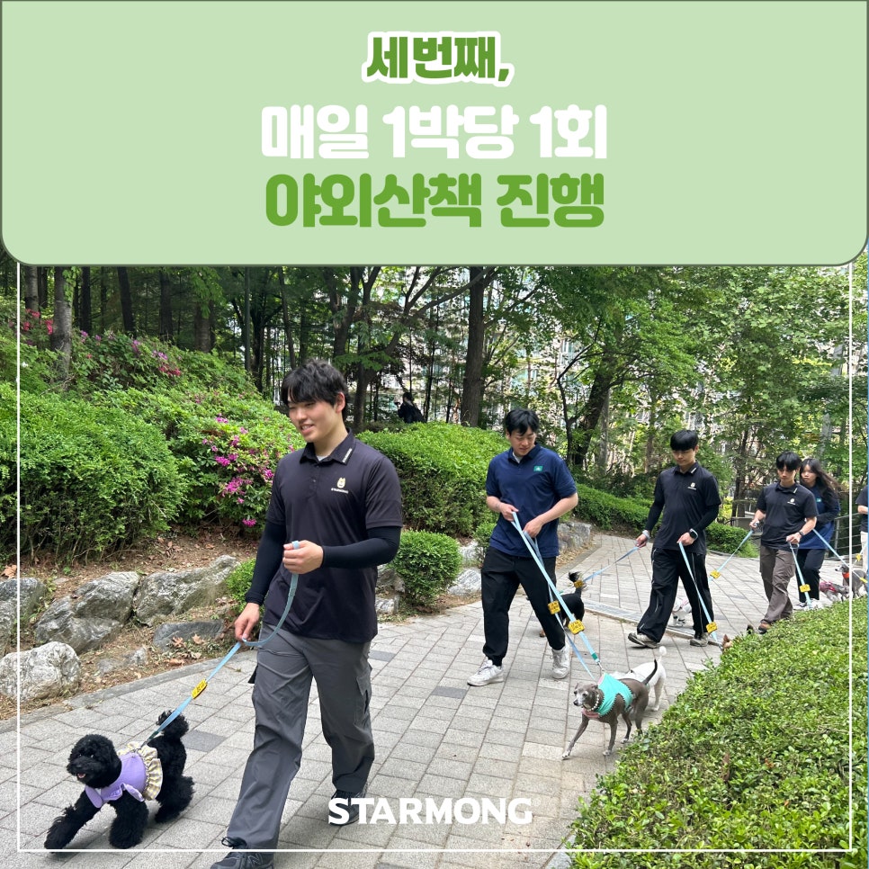 강남 강아지 호텔 스타몽, 3박 4일 호캉스 후기 — 사진 13