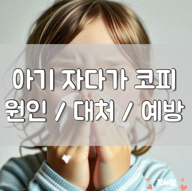 다가코가 이미지