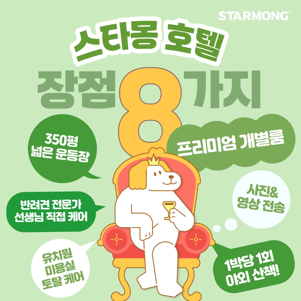 강남 강아지 호텔 스타몽, 3박 4일 호캉스 후기 — 사진 10