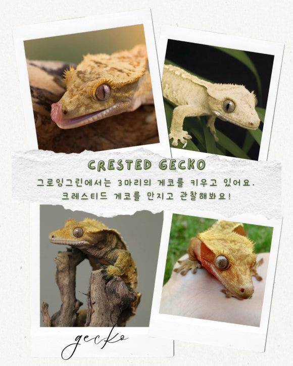 그린그로잉 이미지