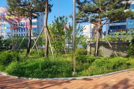 큰솔조경나무병원 이미지