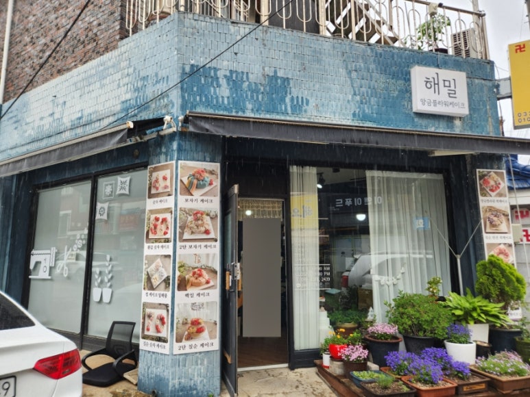 해밀플라워 이미지