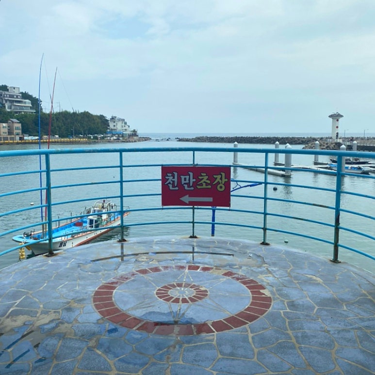 주전초장 이미지