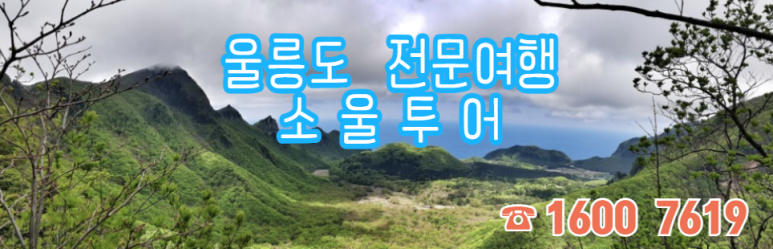 쏘울여행사 이미지
