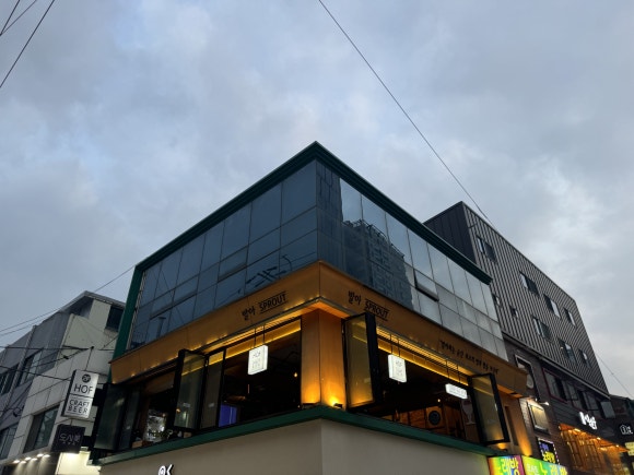 스트라우트발아 사진 4