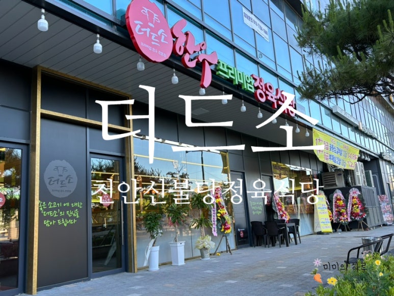 더드소 이미지