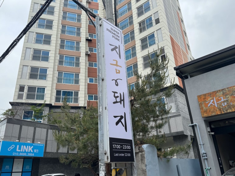 지금,돼지 이미지