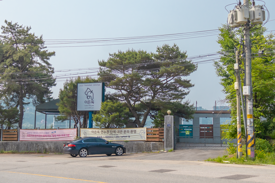 양평 애견동반 펜션 이든독: 수영장 & 훈련 패키지 — 사진 4