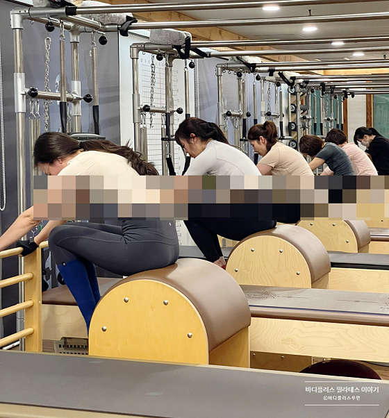 바디플러스 이미지