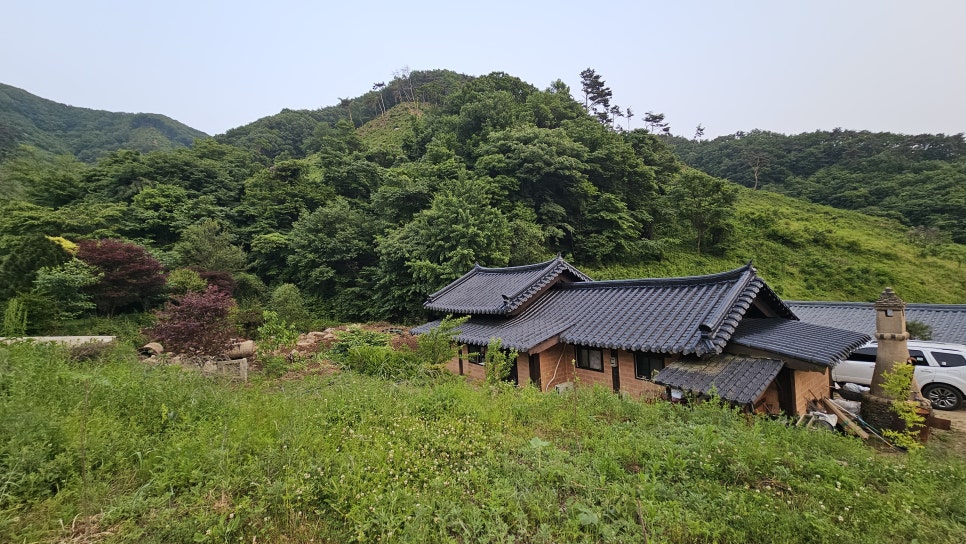 궁노래광장 이미지