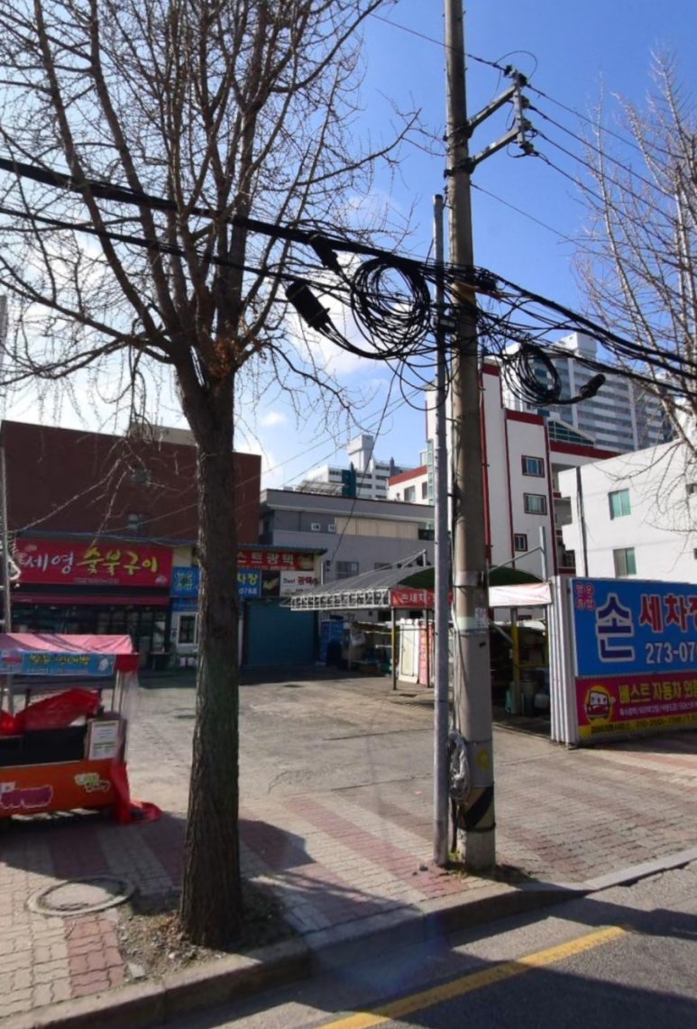 행운카 이미지