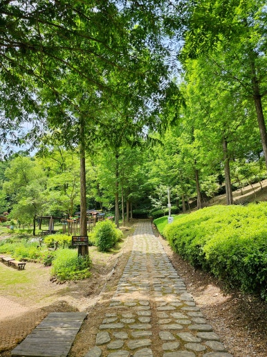 문성 자연휴양림 이미지