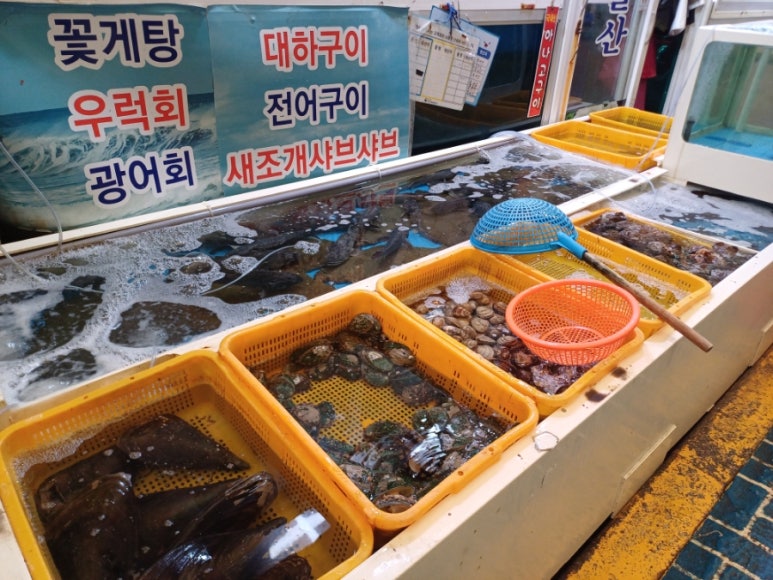 드림마트지점 이미지