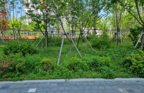 큰솔조경나무병원 이미지