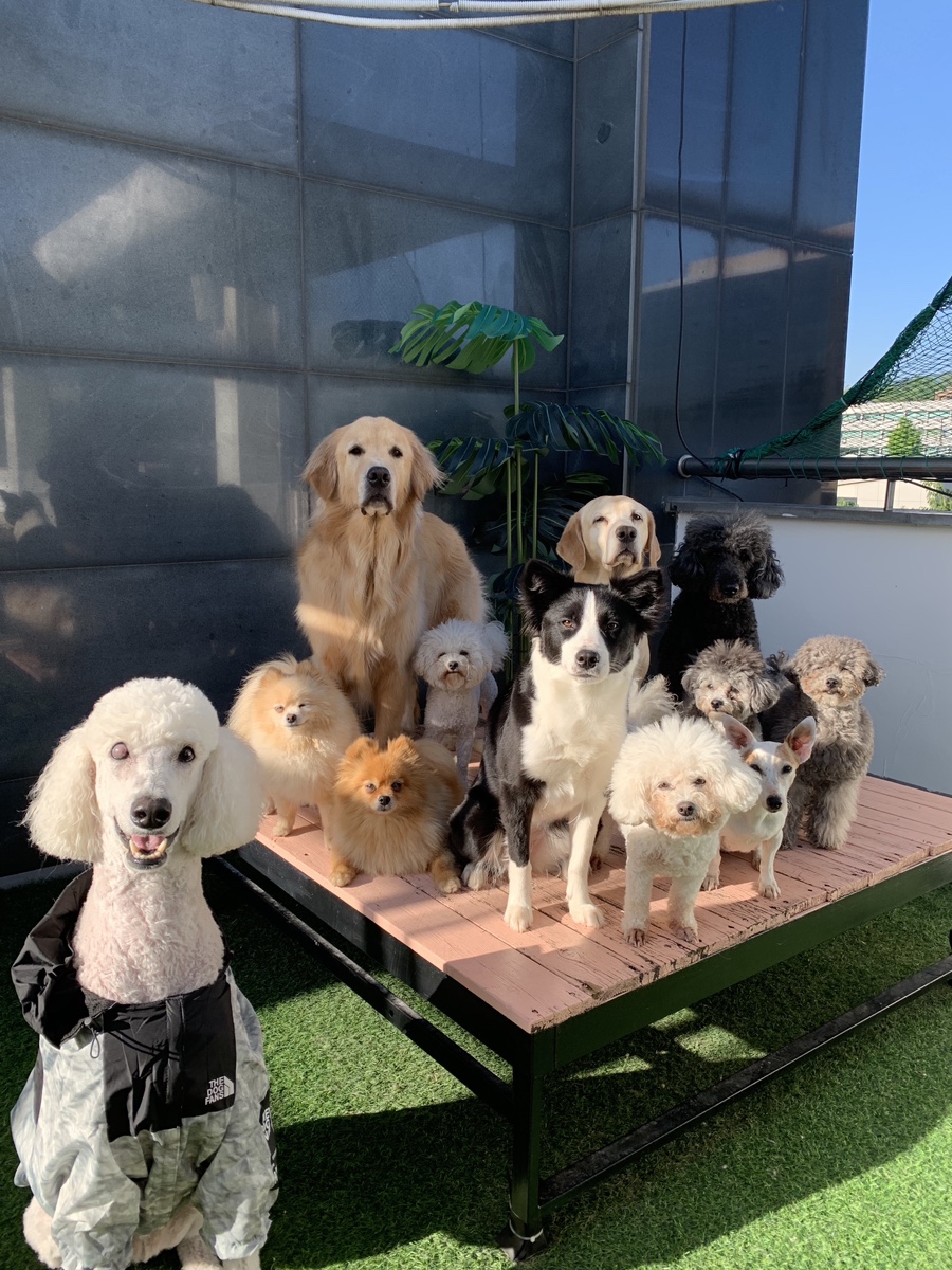 (주)다담 이미지