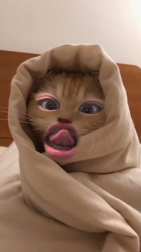 우주하나 이미지
