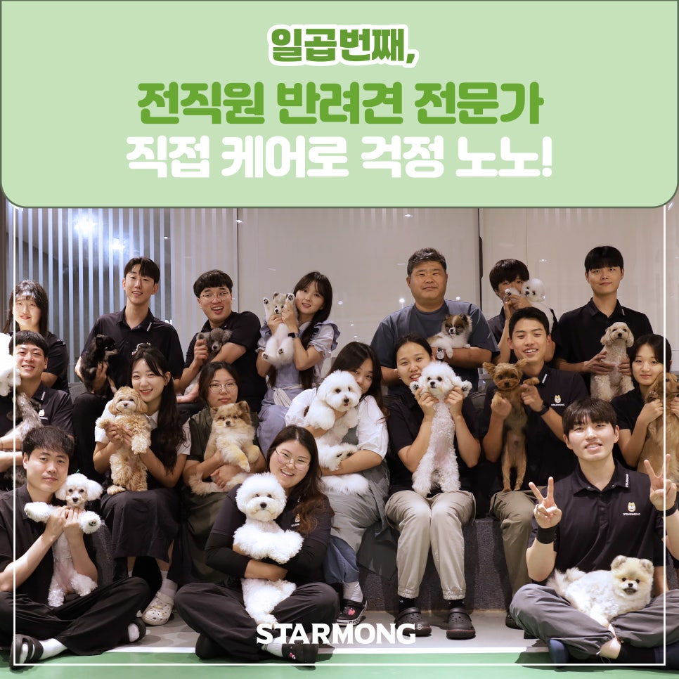 강남 강아지 호텔 스타몽, 3박 4일 호캉스 후기 — 사진 16
