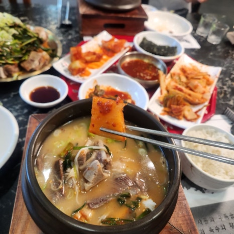 대양카 이미지