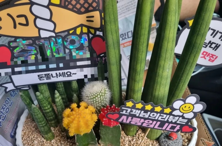 미래꽃화분 이미지
