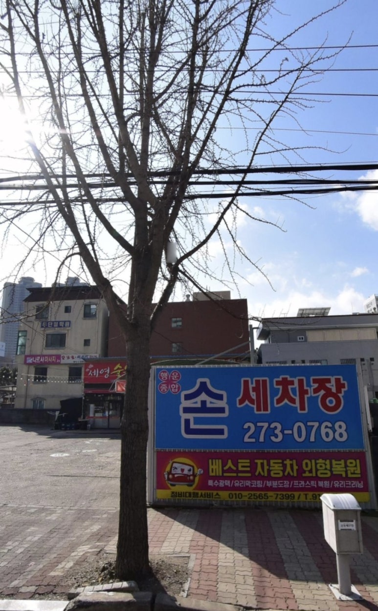 행운카 이미지