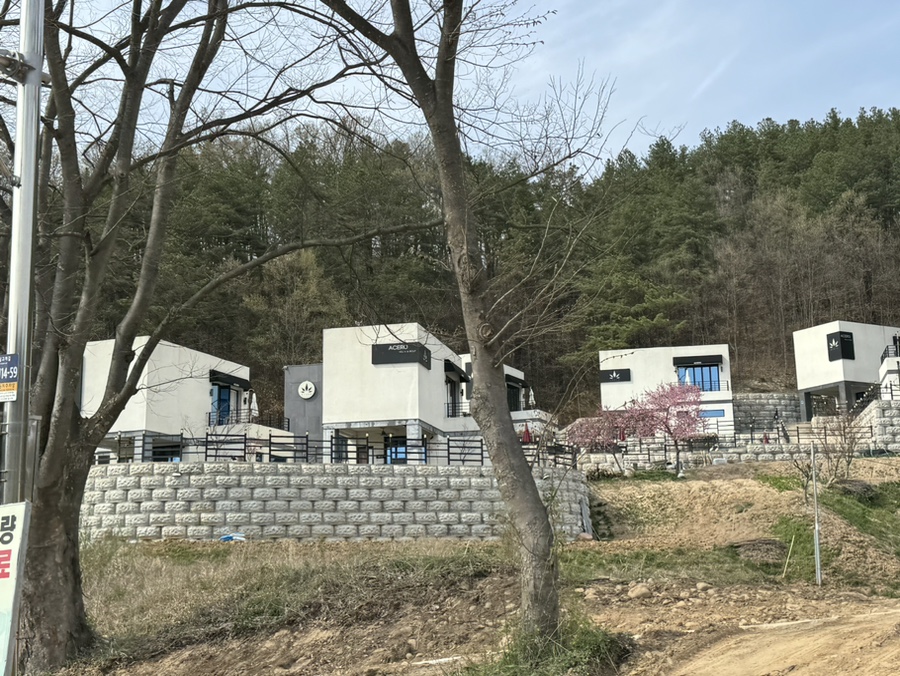 아체로1 이미지