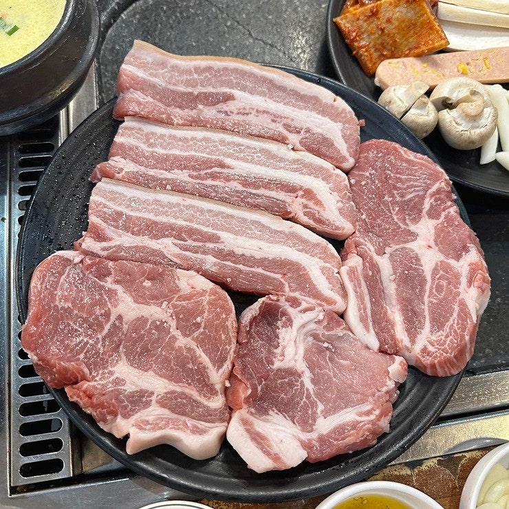 탐라도야지 이미지