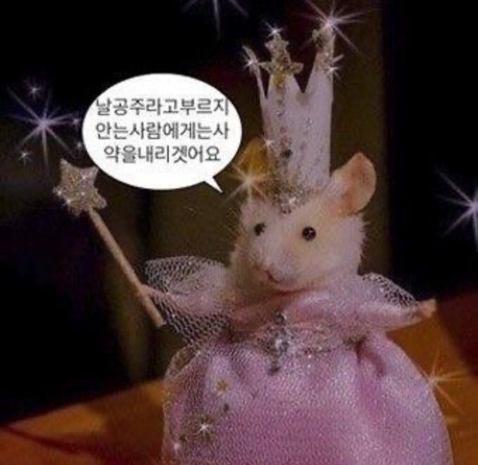 네일행 이미지