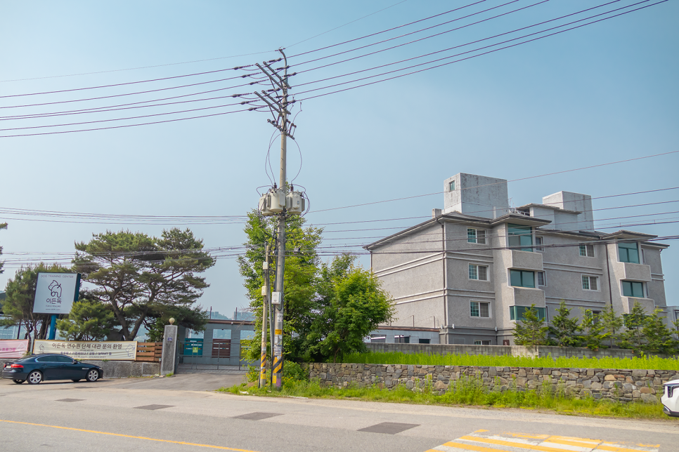 양평 애견동반 펜션 이든독: 수영장 & 훈련 패키지 — 사진 3