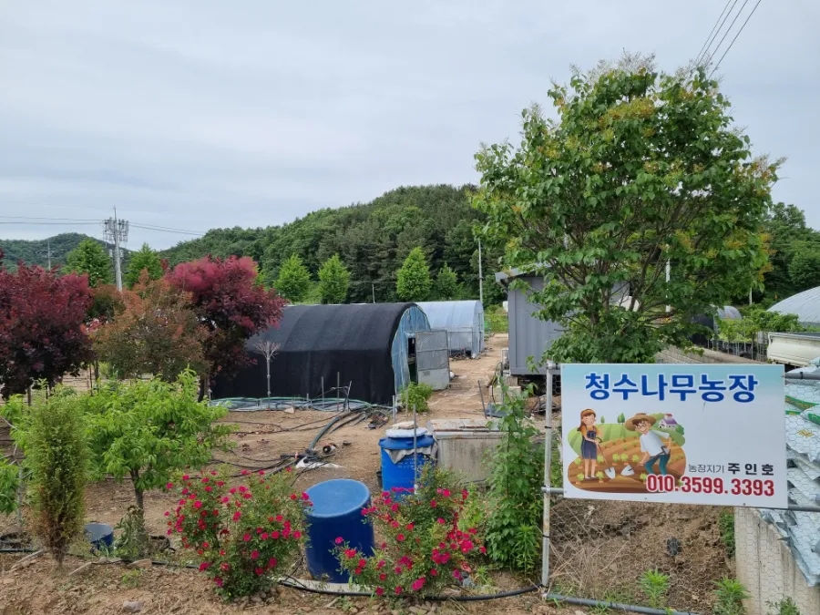 청수농장 이미지
