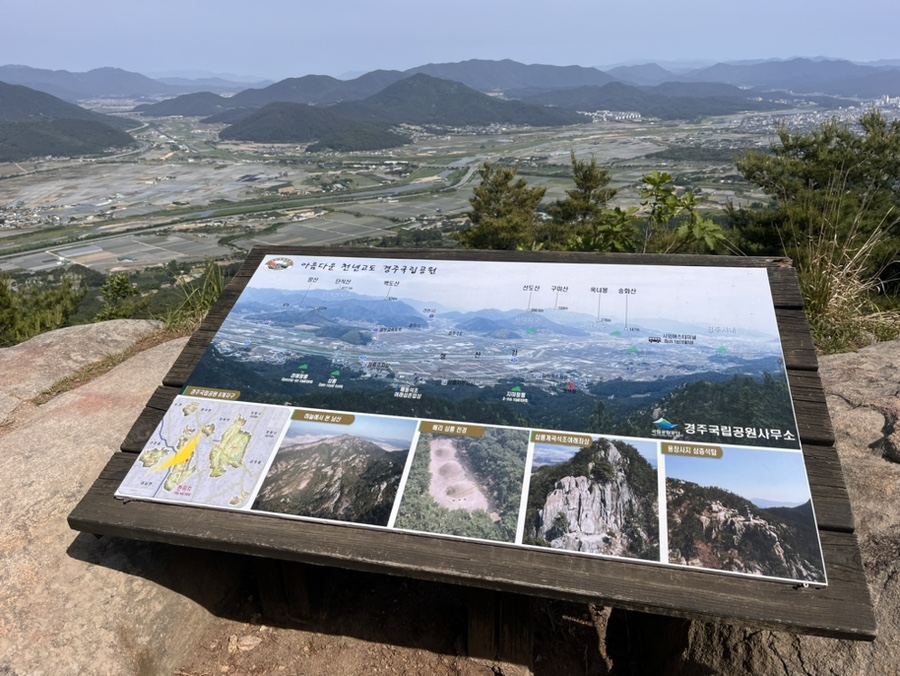 dagwawa (다과와) 이미지