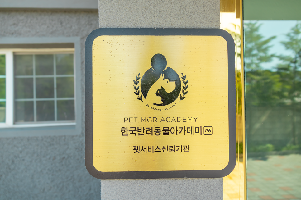 양평 애견동반 펜션 이든독: 수영장 & 훈련 패키지 — 사진 6