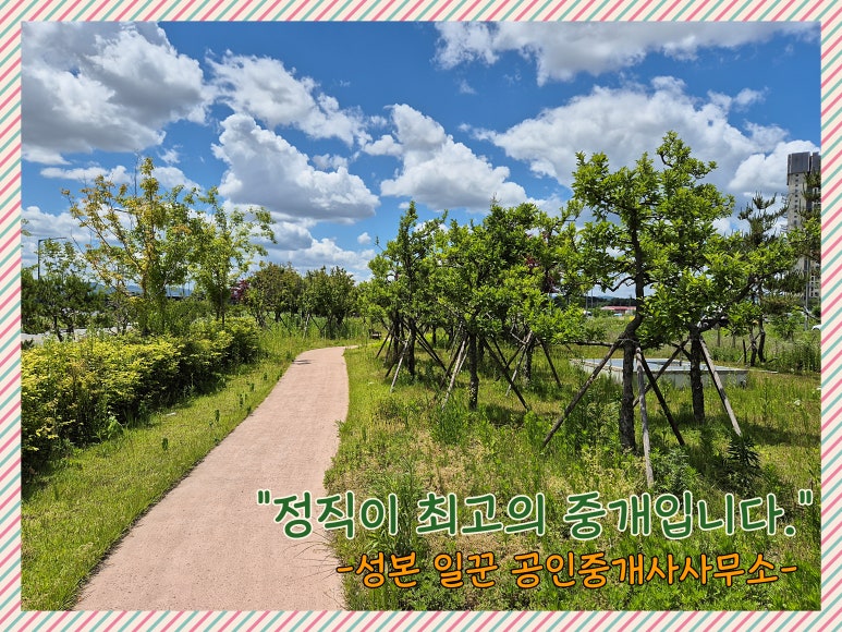 반궁음성점 이미지