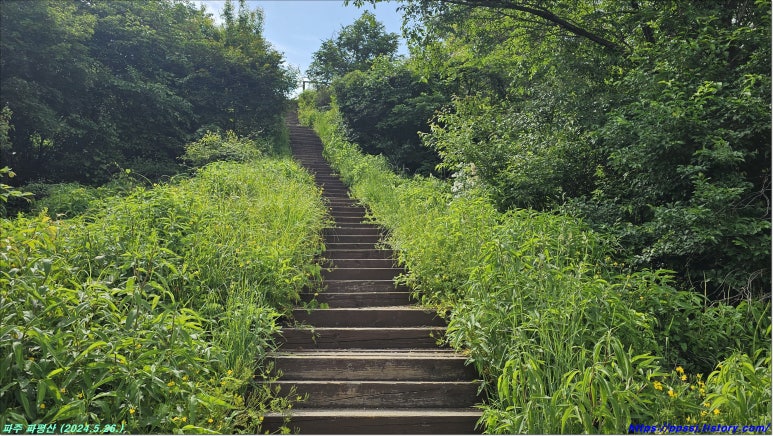 파평산 정상 이미지