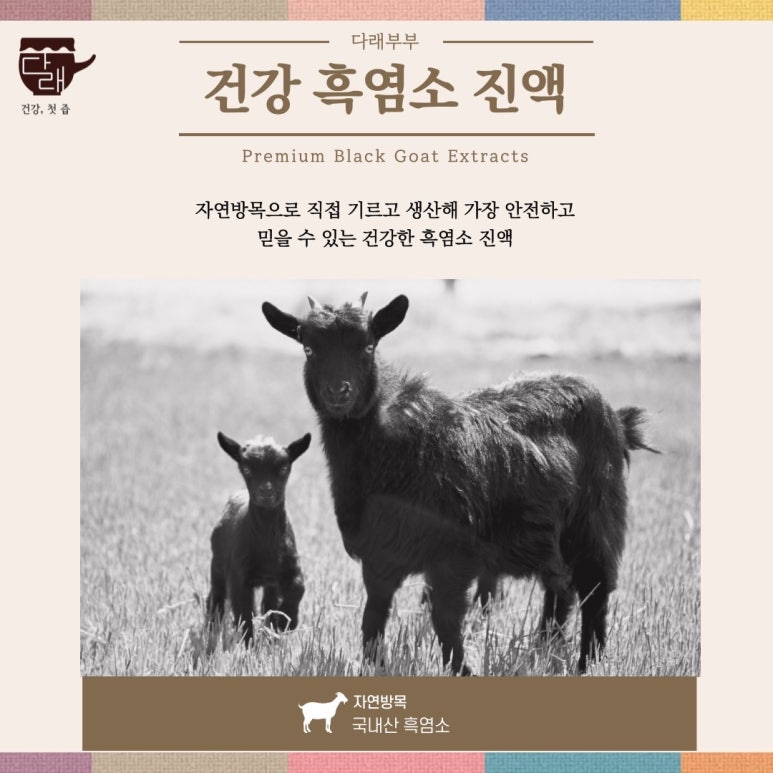 다래부부 이미지