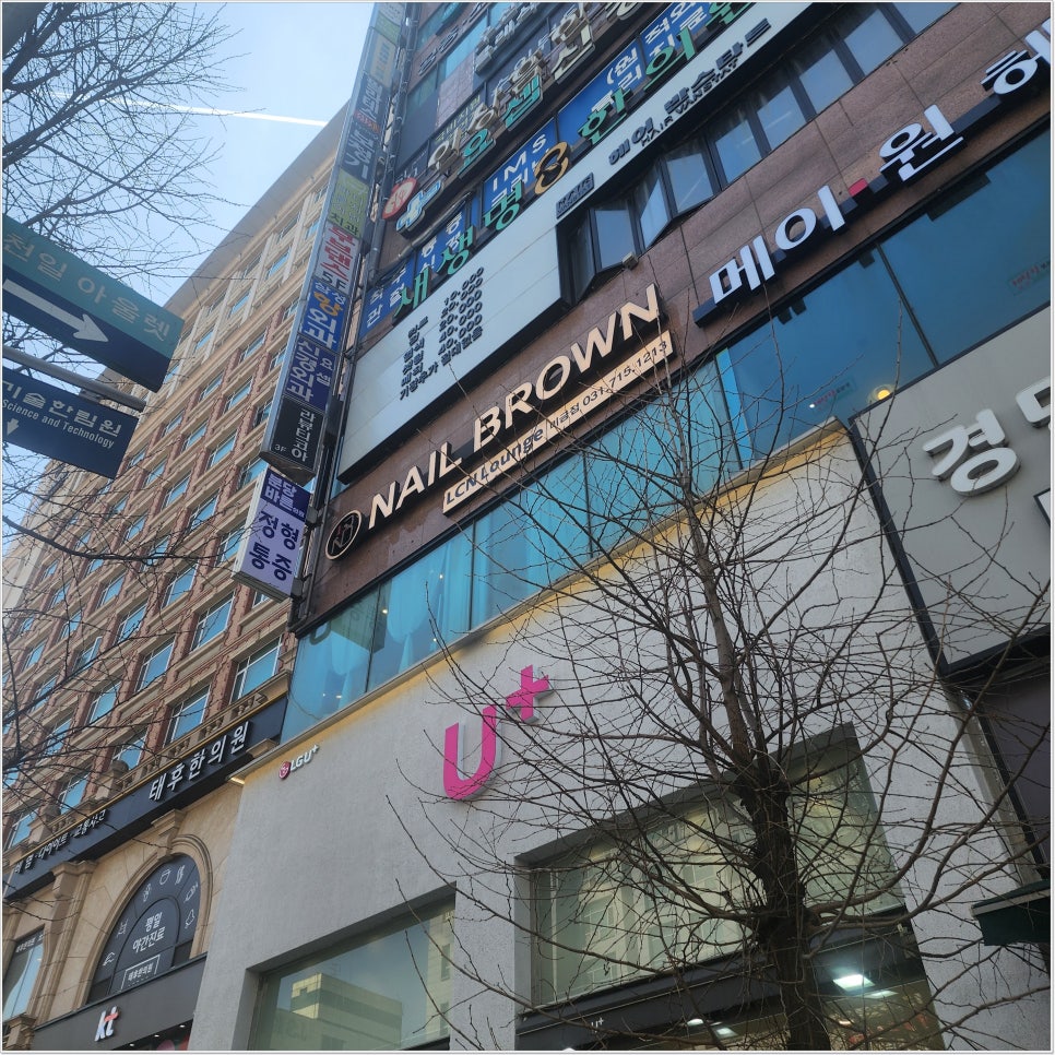 네일브라운 이미지