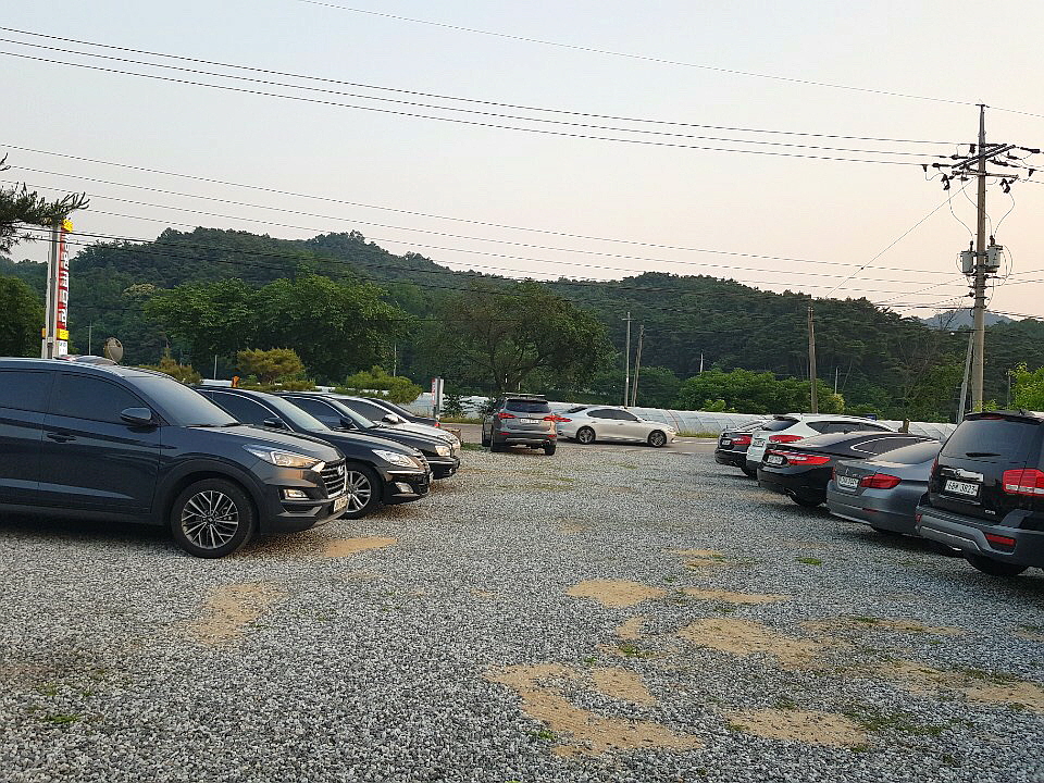 중원코다리 이미지